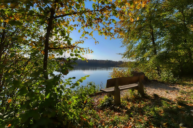 王沪宁的出 王沪宁的出
