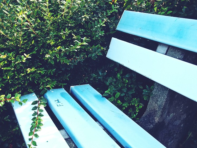 参加国际赛 参加国际赛