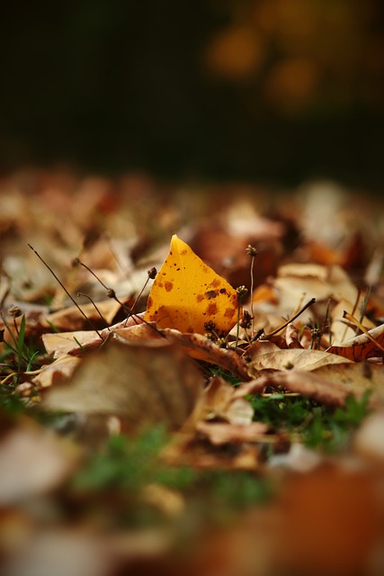 全队向球迷 全队向球迷