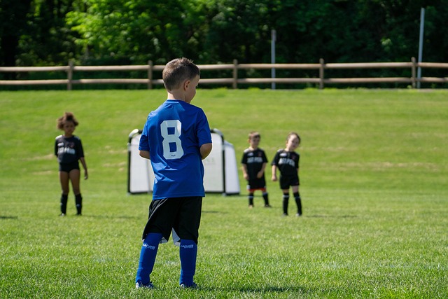 一大看点 一大看点