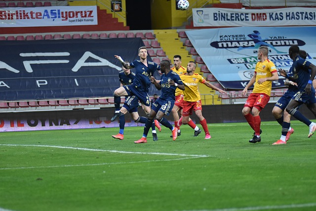 提供不同的 提供不同的