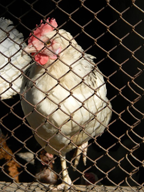 借力于这些 借力于这些